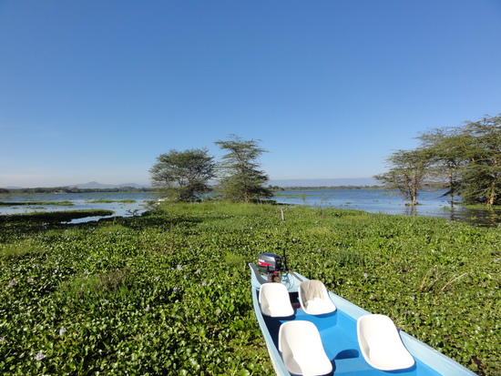 Lake Naivasha