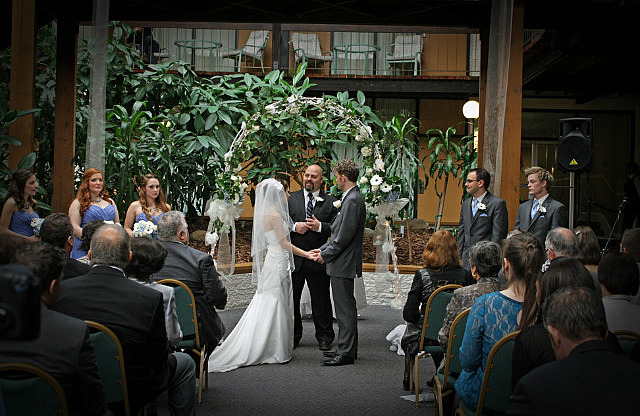 The Vows