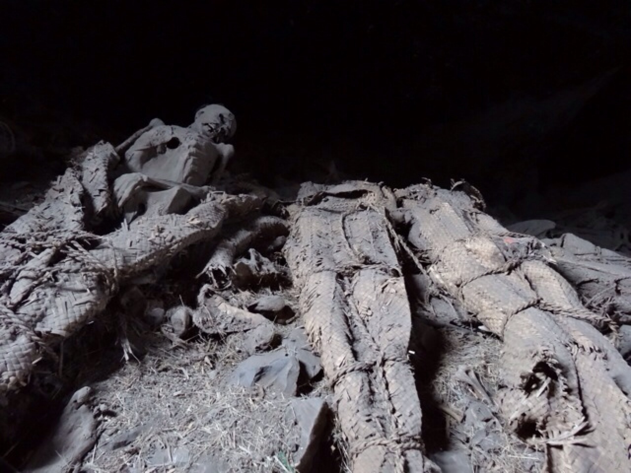 The Mummies