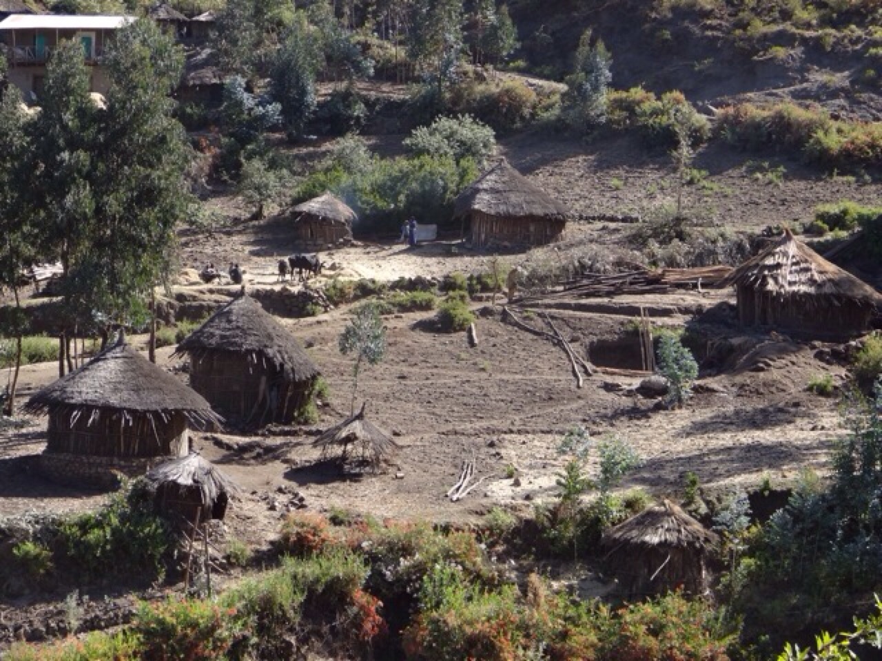Village Near The Cave