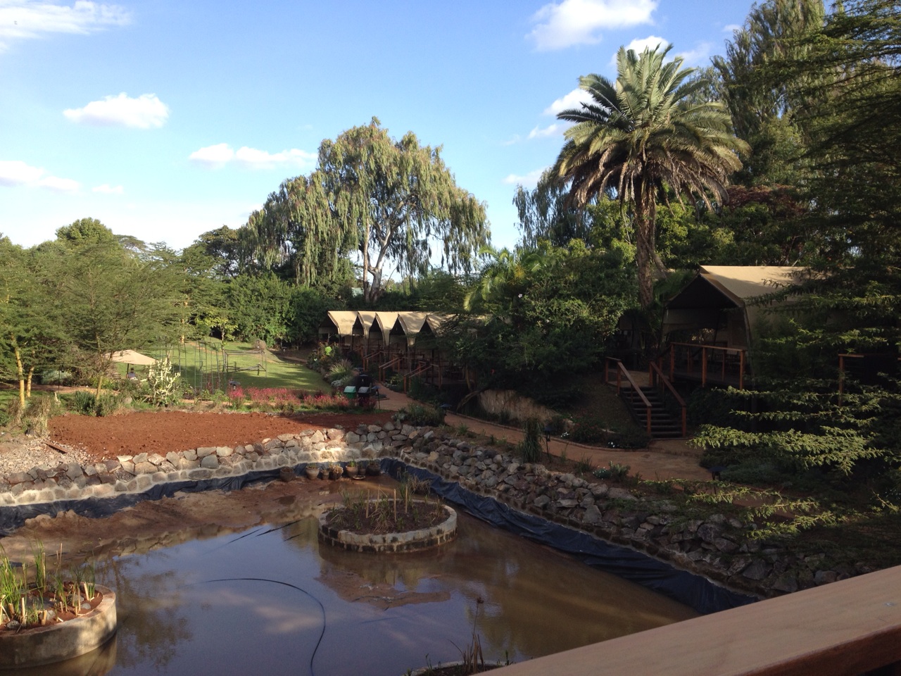 Wildebeest Lodge