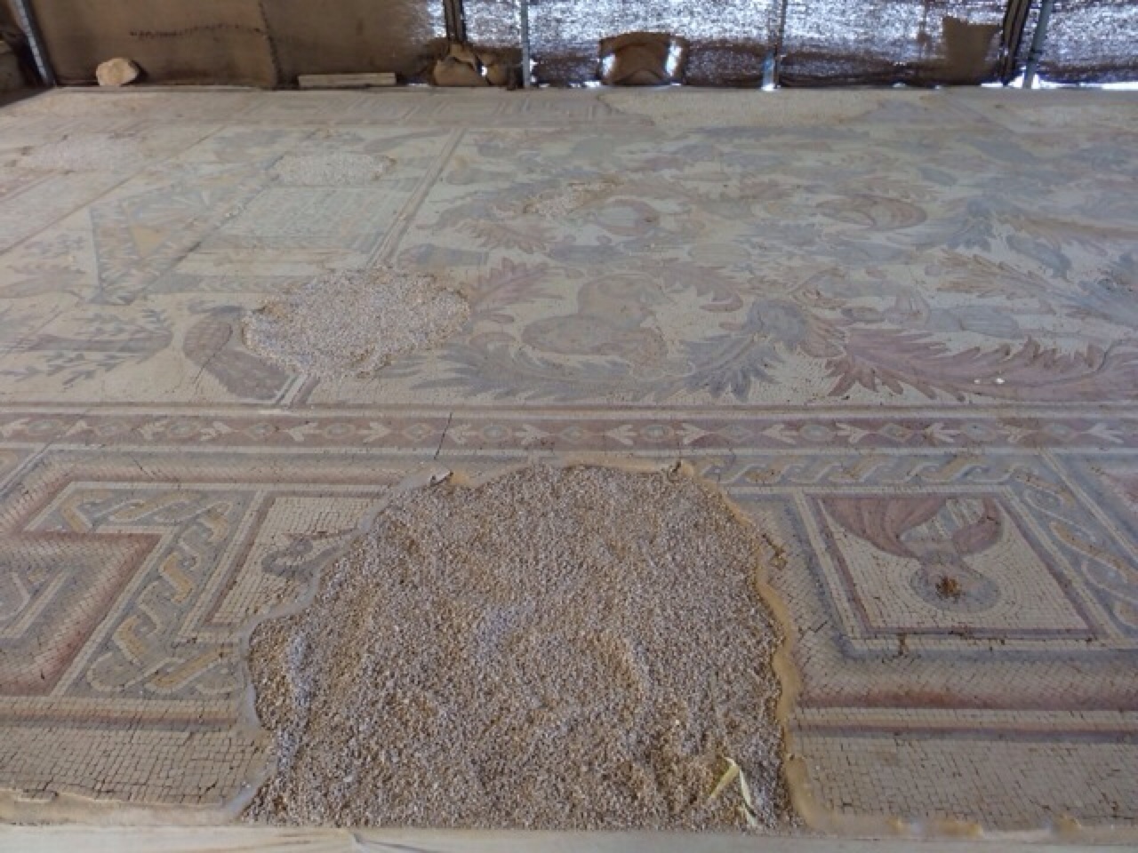 Mosaic Floor From Mt Nebo Church