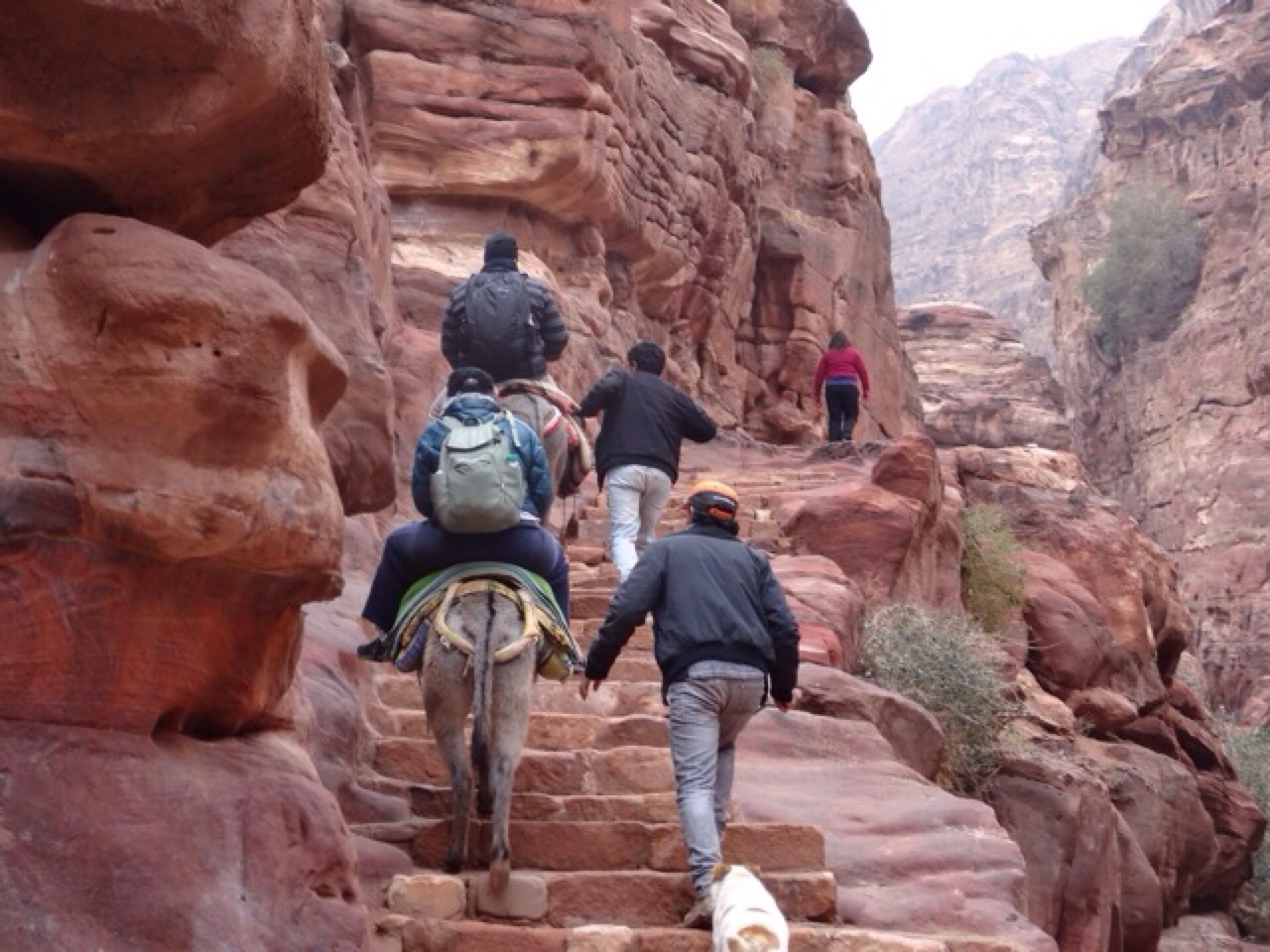 Climbing