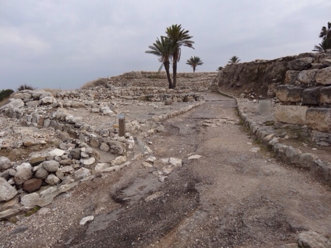 Megiddo
