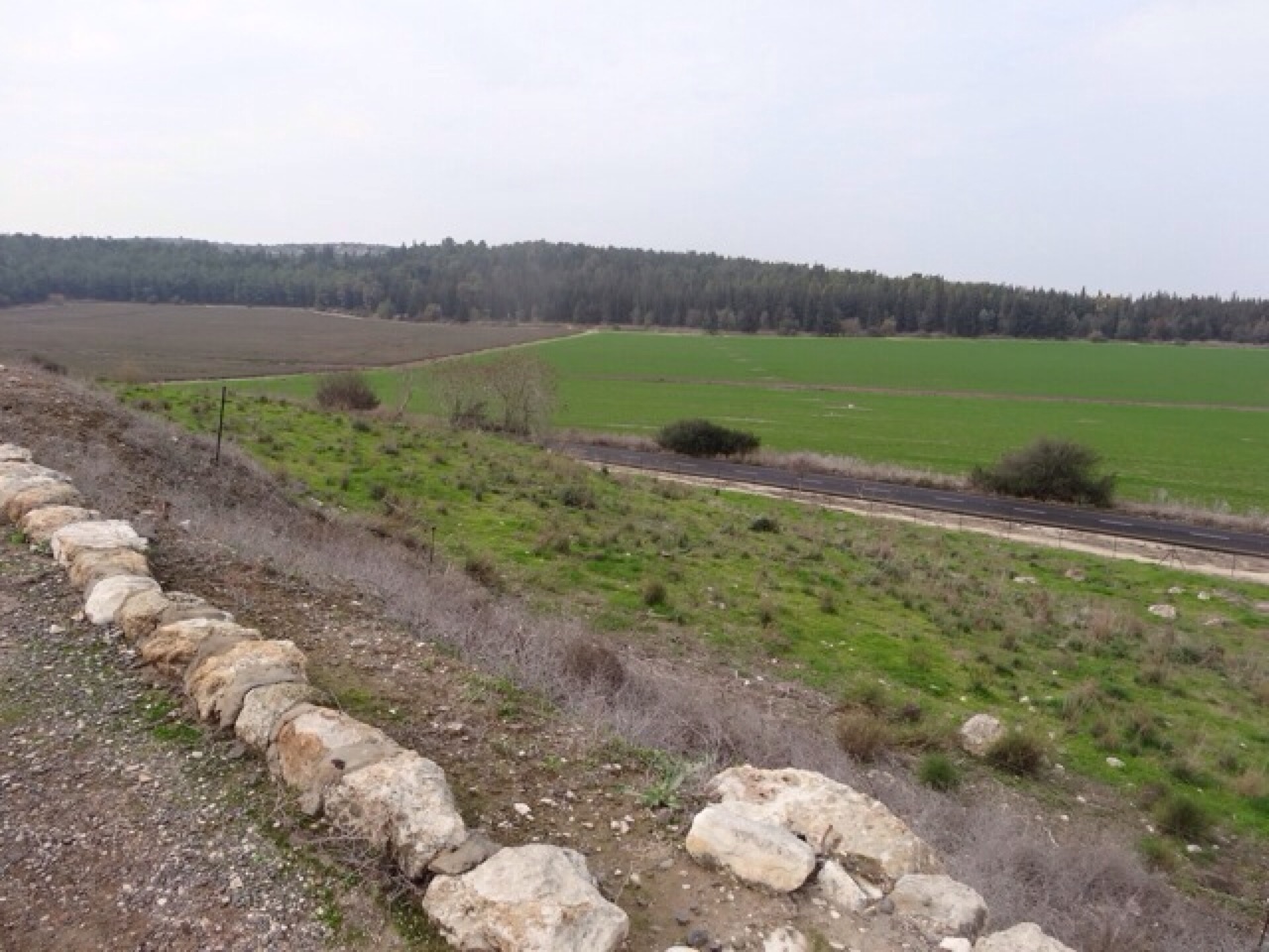 The Fields of Armageddon
