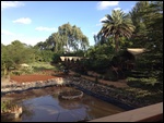 Wildebeest Lodge