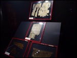 The Dead Sea Scrolls