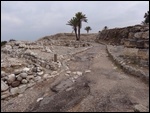 Megiddo