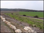 The Fields of Armageddon