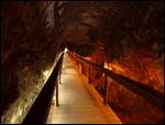 The Tunnel