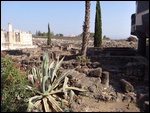 Capernaum