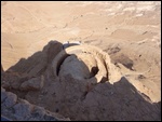 The Palace