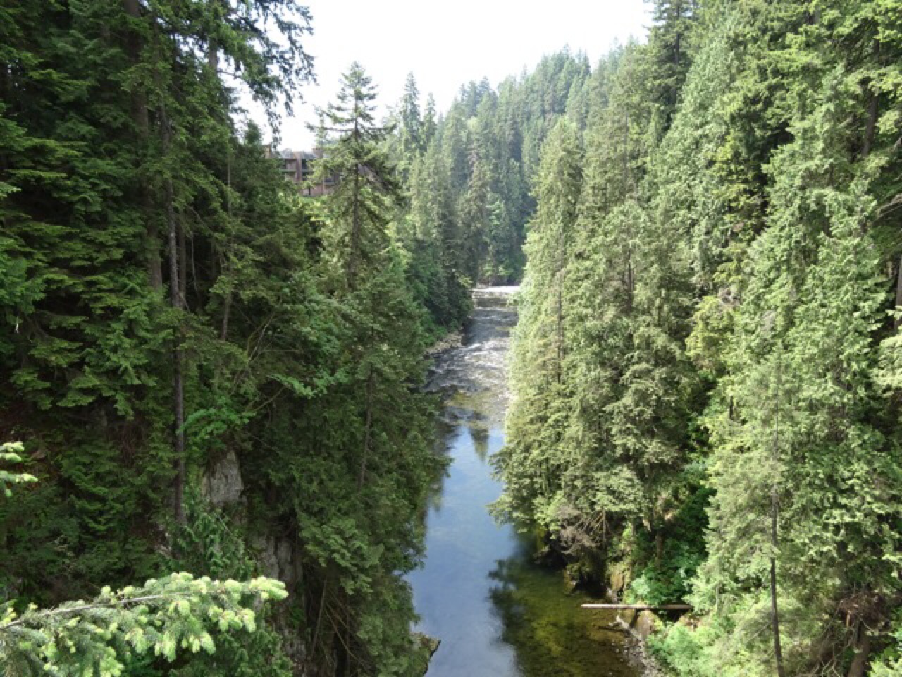 The Capilano River