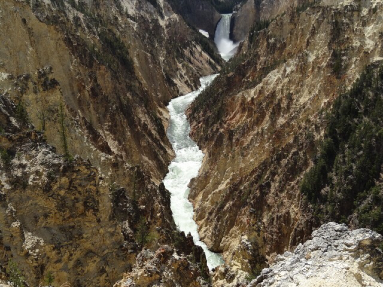 Lower Falls and Canyon