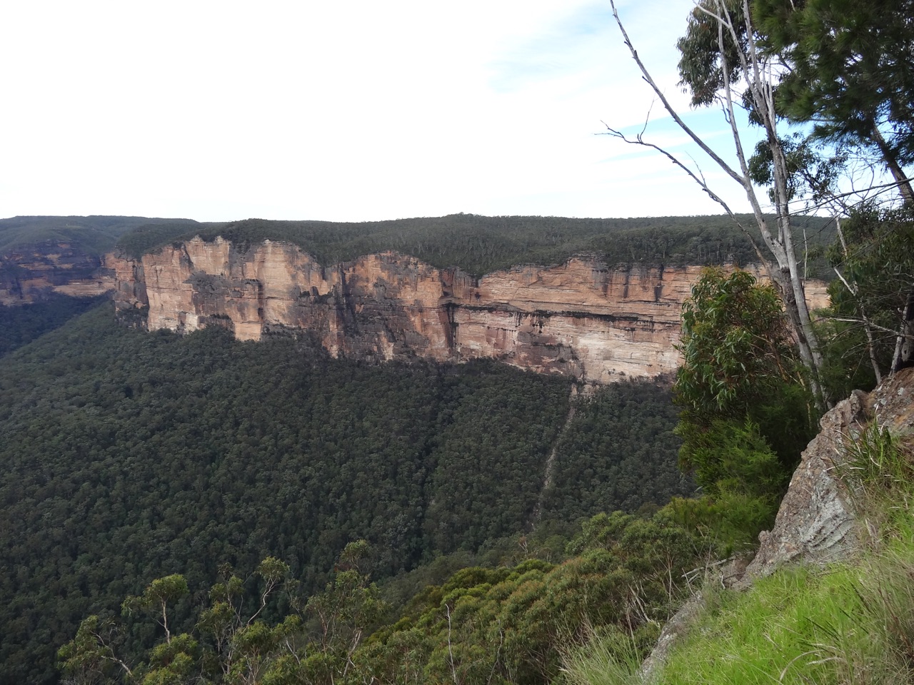 Blue Mountains
