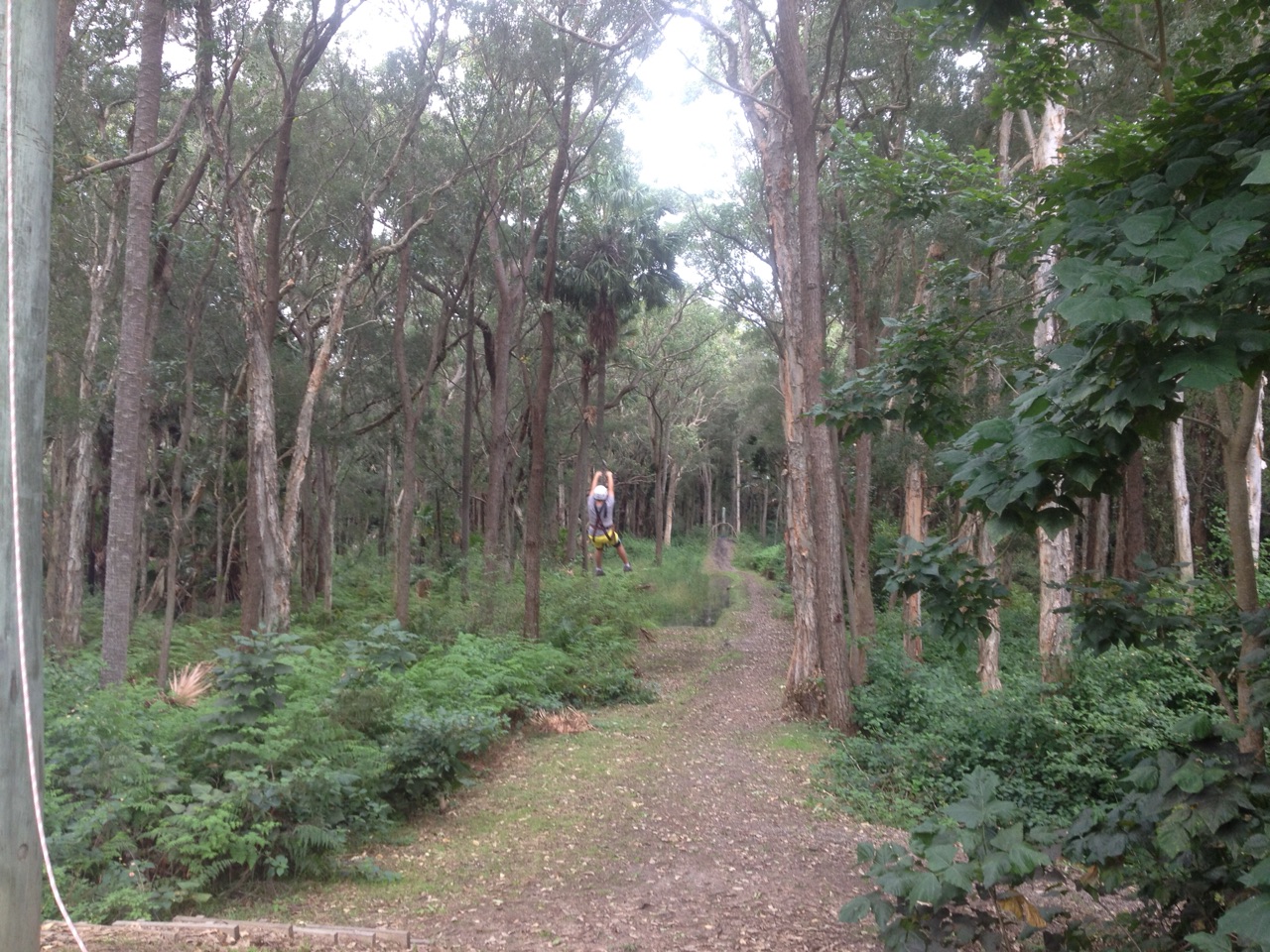 Ziplining