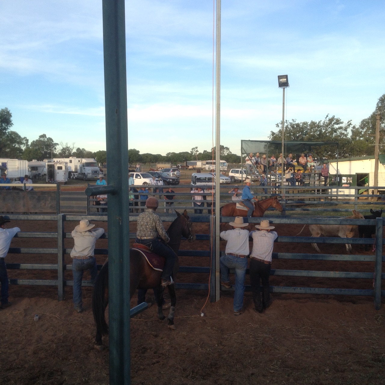 Australian Campdrafting Championships