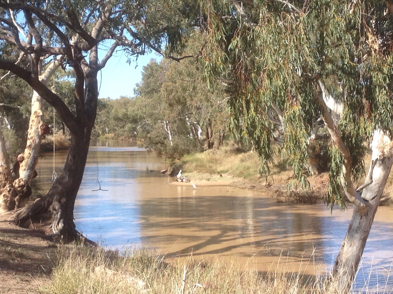 The Warrego River
