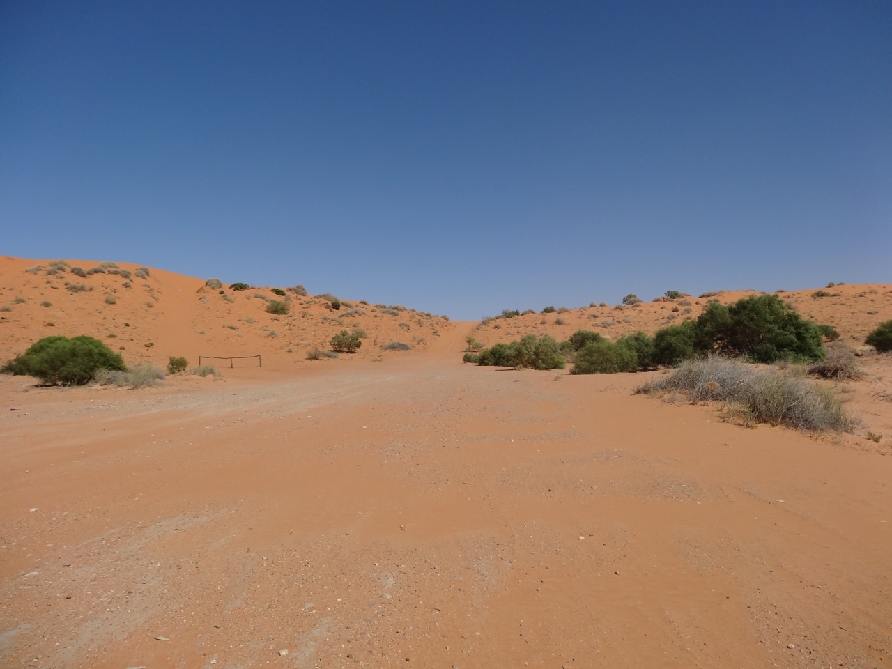 Big Red - the start of the Simpson Desert