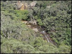 Wentworth Falls