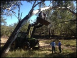 Who needs a scaffold