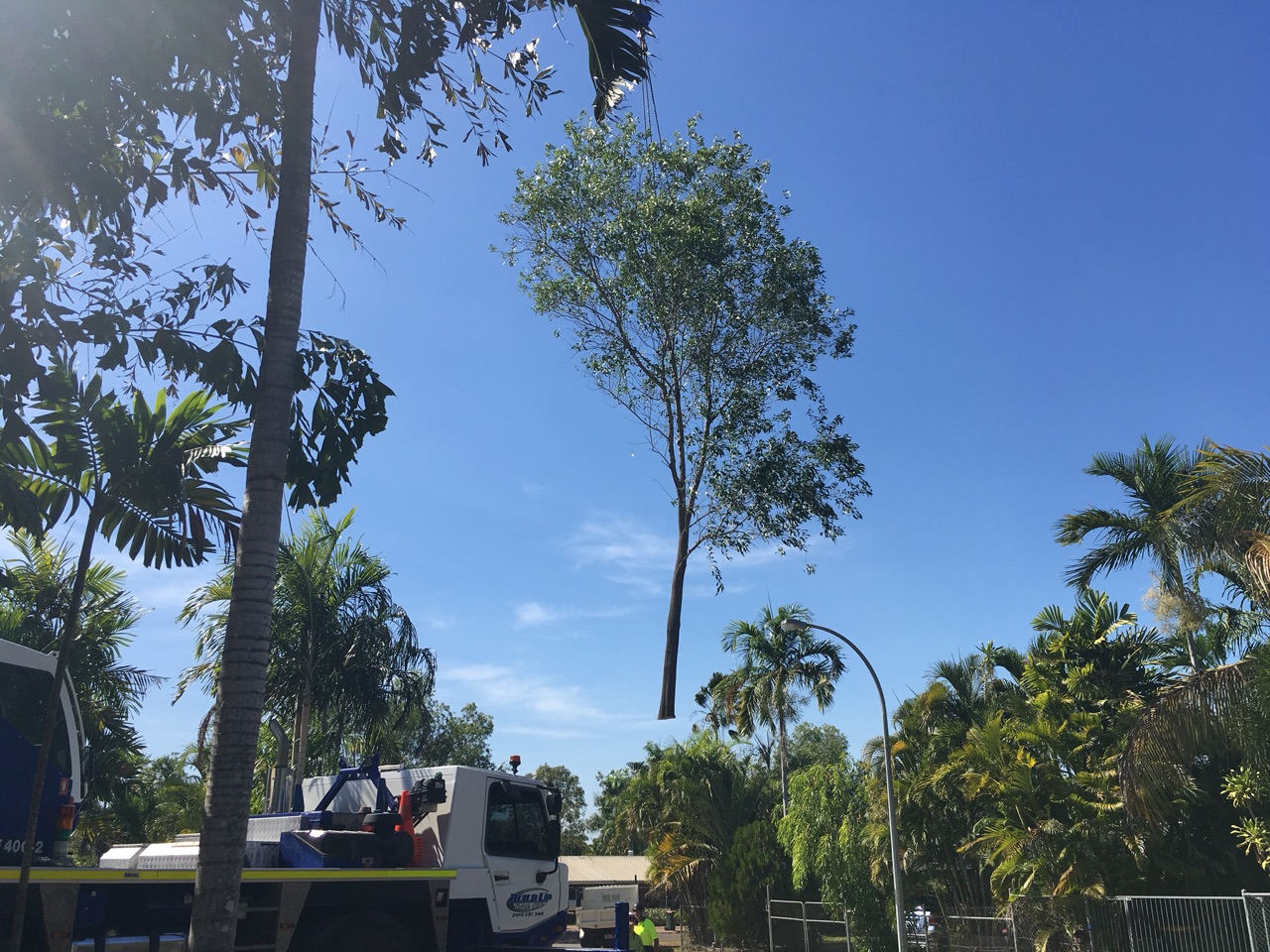You lift the whole tree over the roof