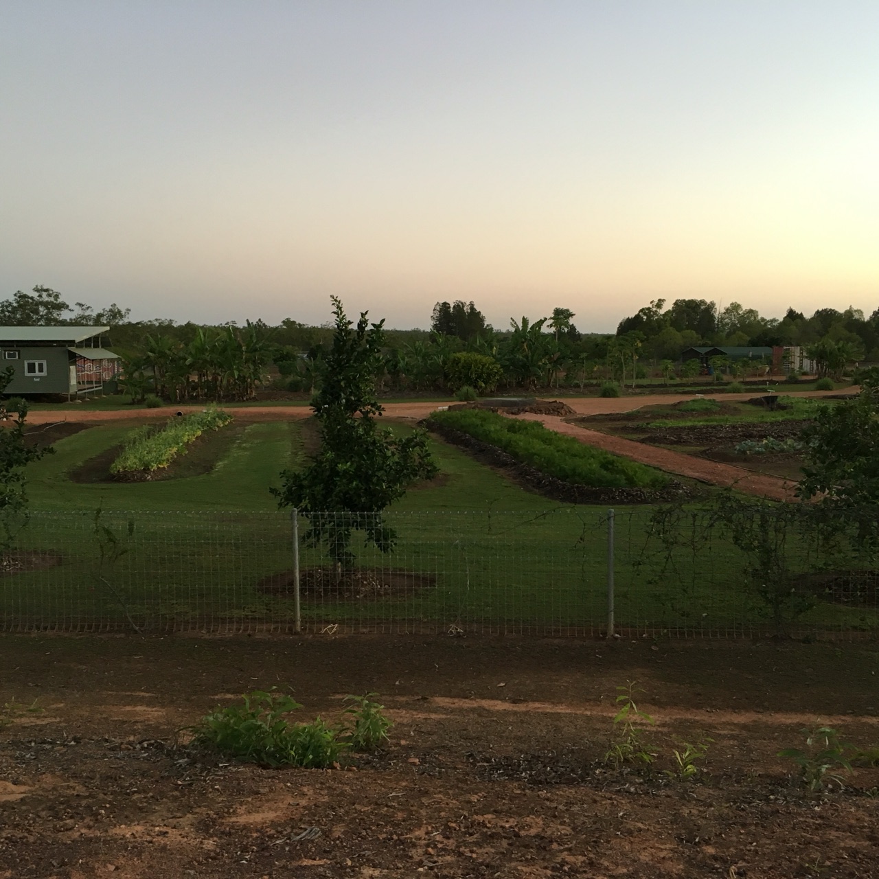 The Farm
