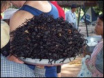 Fried tarantulas