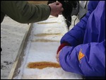 Making toffees