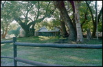 Old Homestead