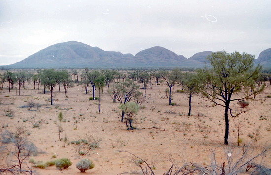 The Olgas