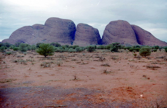 The Olgas