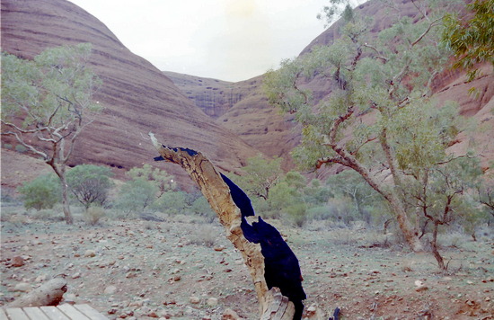 Valley of the Winds