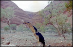 Valley of the Winds